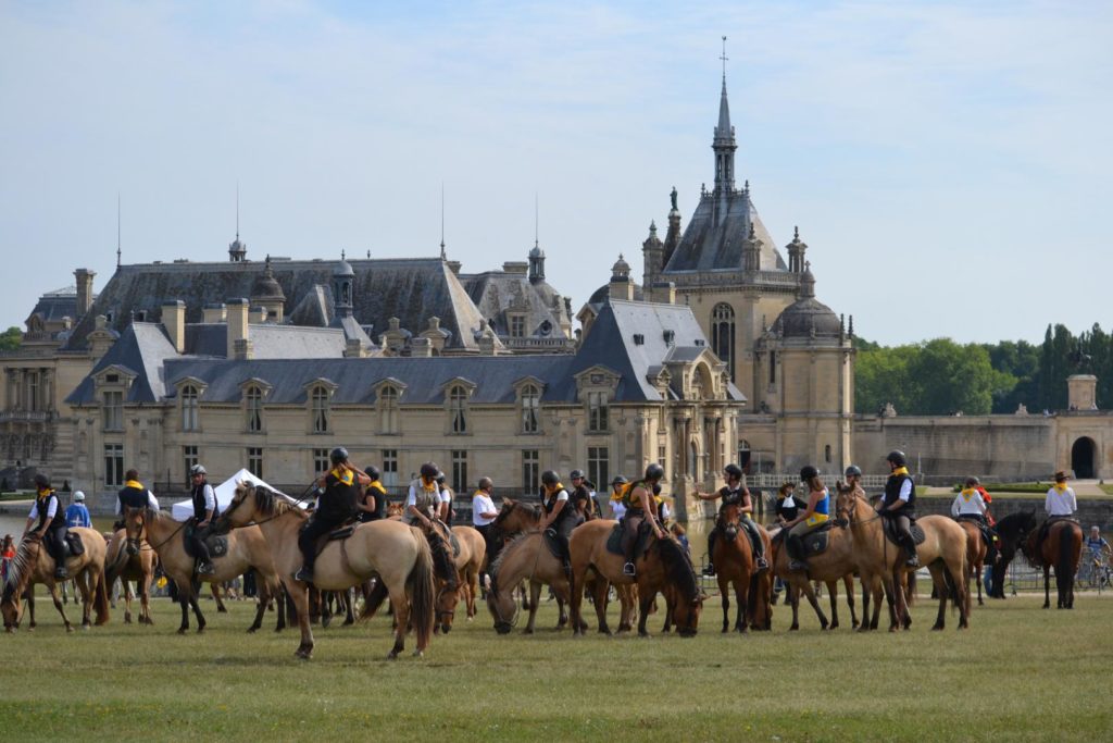 chevaux henson chantilly