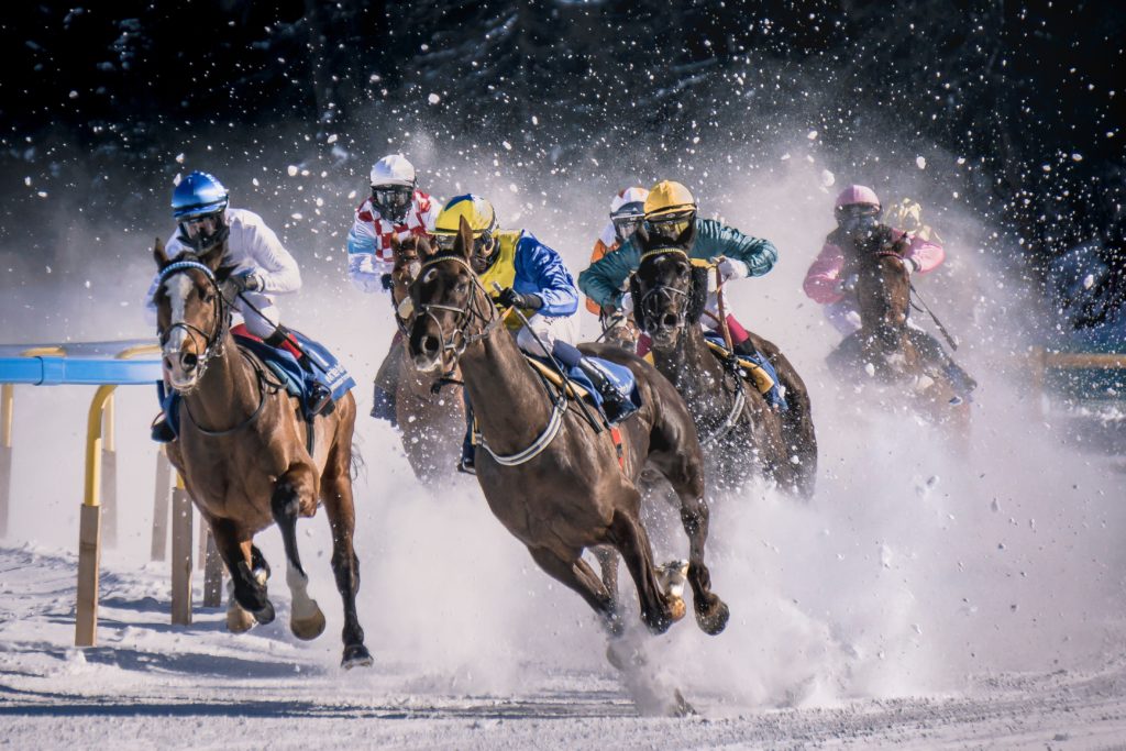 course chevaux neige
