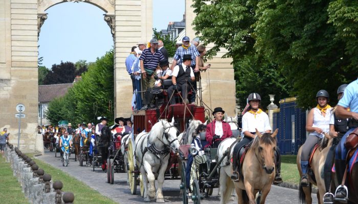 attelage chevaux chantilly